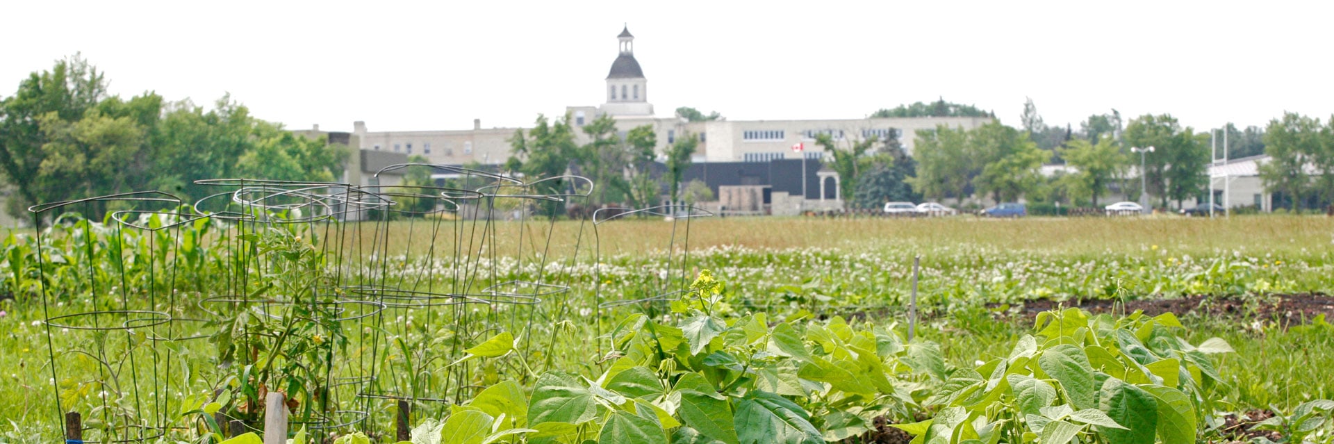 campus-initiatives