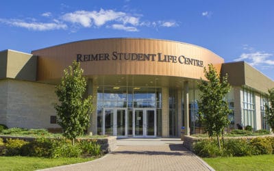 Providence campus a hive of summer activity