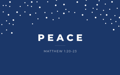 Advent Week 4 video with David Johnson