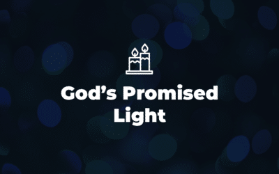 An Advent Devotional by Dr. Kara Mandryk