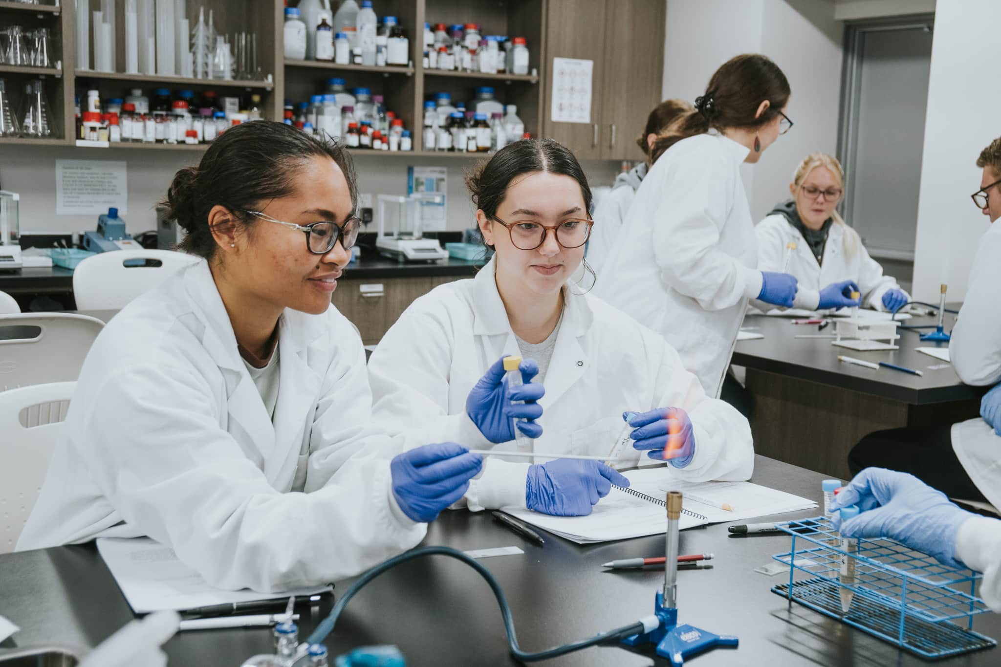 Students in the laboratory at Providence with Professor of Health Sciences, Dr. Rebecca Dielschneider.