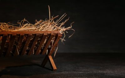 Navigating Christmas Amidst Suffering
