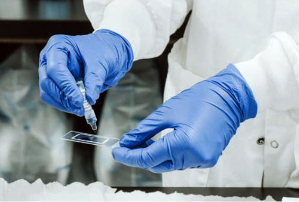 Lab Experiment