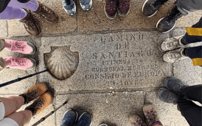 Walking the Narrow Road of the Camino