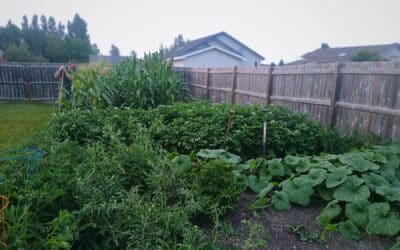 God’s Providence Through the Seasons