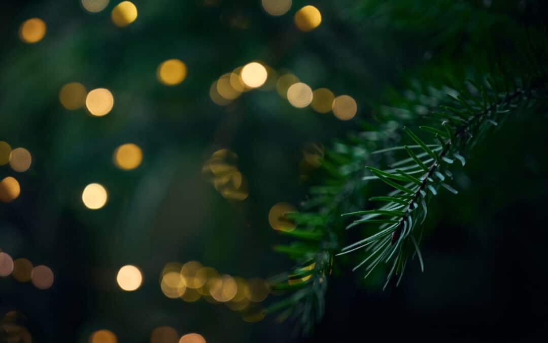 Decking the Halls: An Advent Reflection