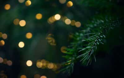 Decking the Halls: An Advent Reflection